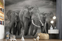 Wallpaper depicting a magnificent elephant standing proudly in its natural habitat.