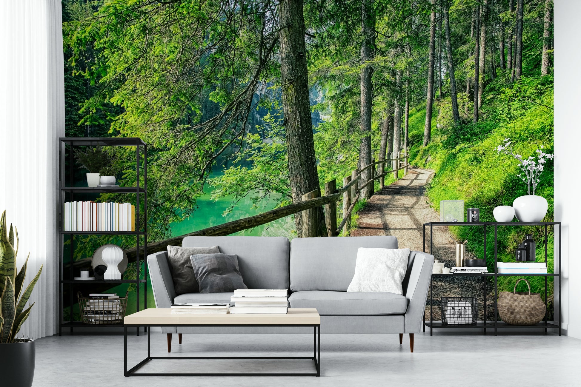 Forest trail wallpaper next to a tranquil green lake

