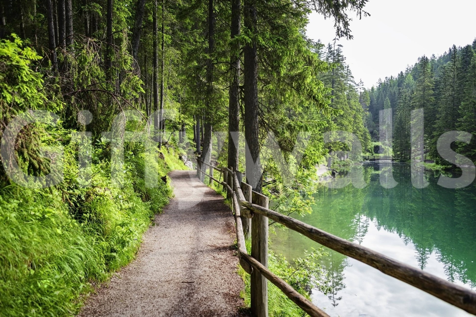 Lake and forest mural in hallway, scenic trail view for home styling
