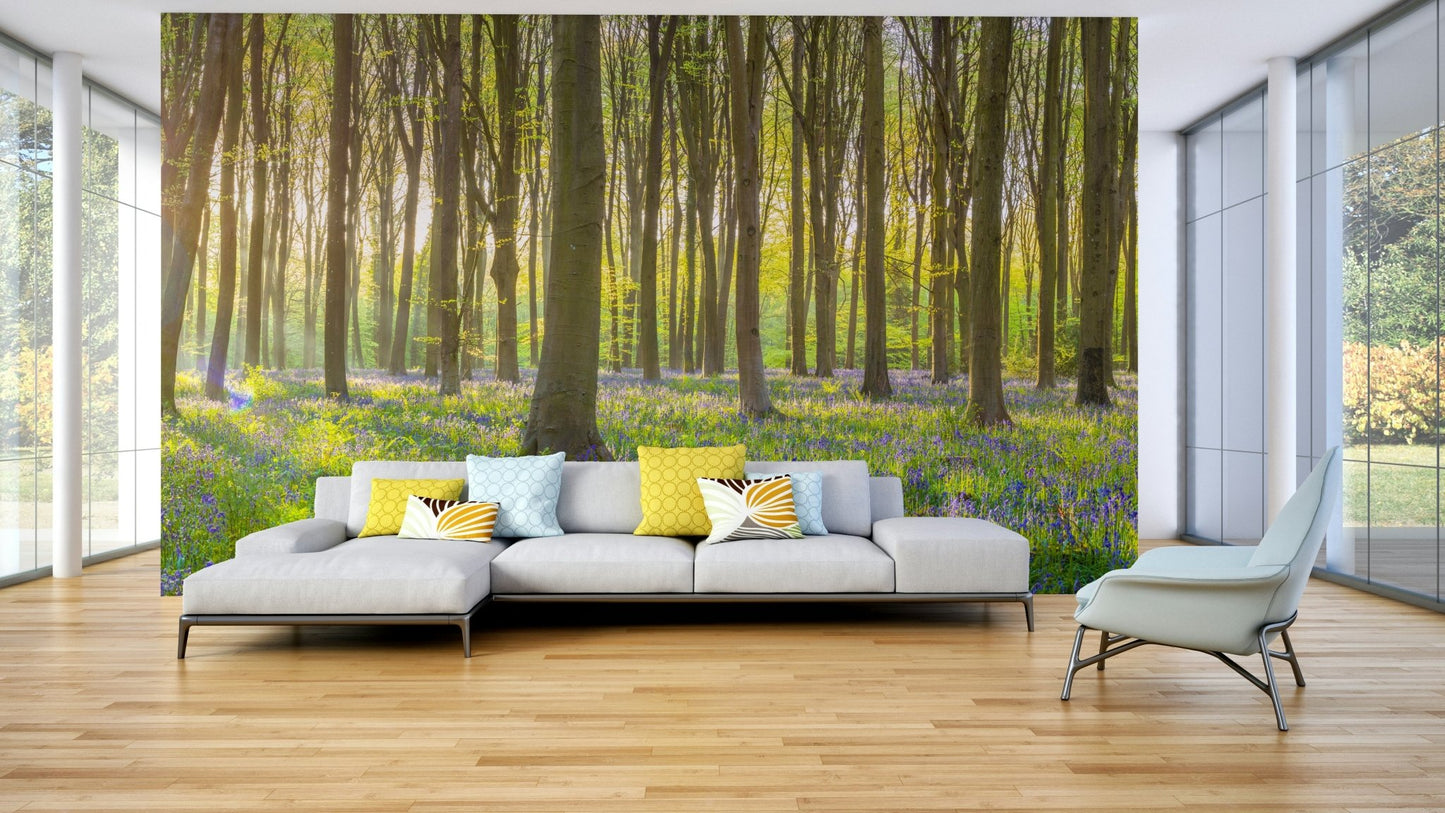 Tranquil bluebell scene wallpaper

