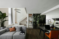 Sunlight filtering through the leaves onto the path
