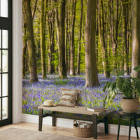 A high-quality print of a tranquil forest.

