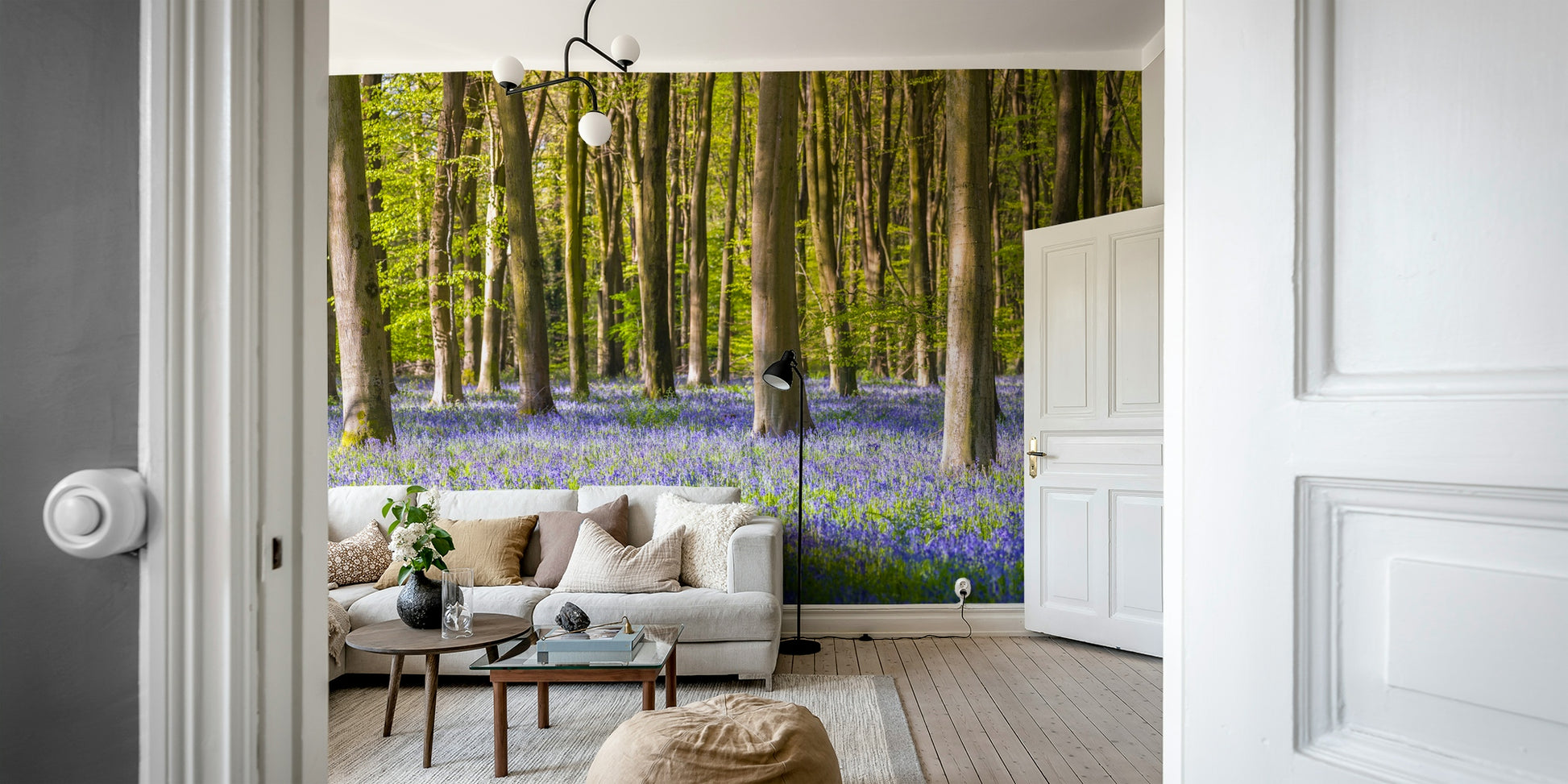 Wall mural of a peaceful forest path.

