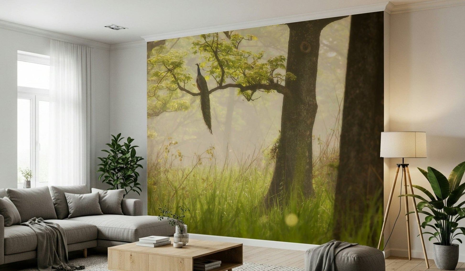 Wide landscape view showing Enchanted Lush Forest beautiful light.