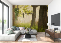 Peacock perched on branch in Enchanted Lush Forest wallpaper.