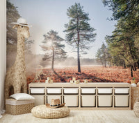 Peaceful escape aesthetic.

