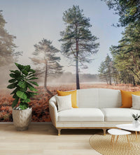 Towering trees emerging through fog.

