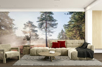 Sunlight filtering gently through fog.

