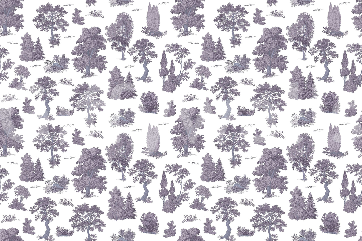 The style is a soft-focus illustration or a painterly design.

