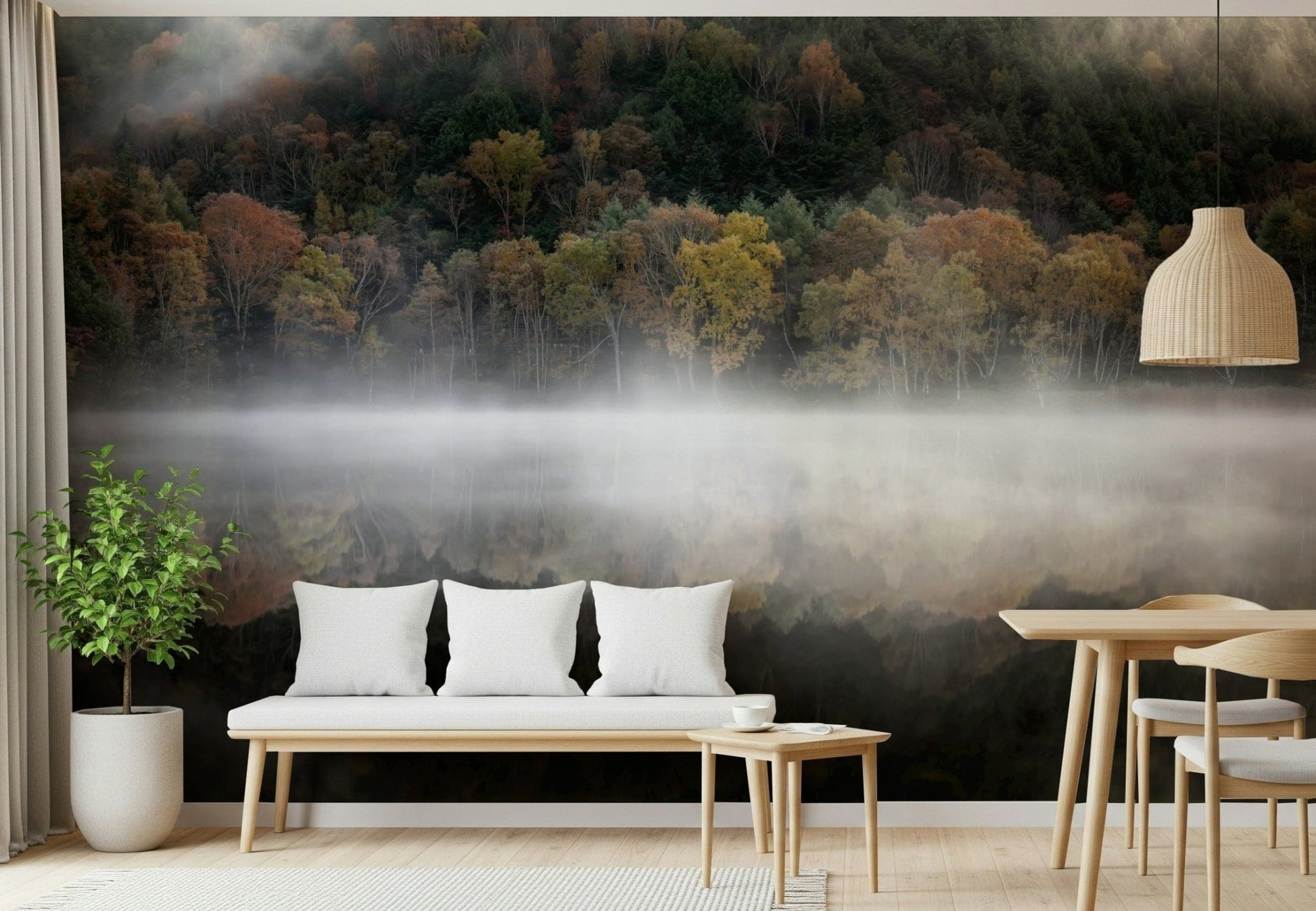 Magical Mist Reflection wallpaper, colorful forest mirrored image.