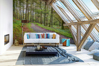 The light filters through the trees, creating a soft, magical effect.

