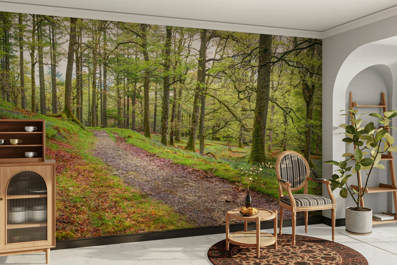 A wall mural of a trail in an enchanted forest.

