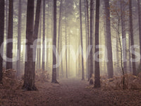 Foggy forest wall mural on stair wall, layered tree line, modern natural style