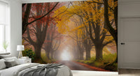 Ethereal Fall Road Wall Mural in guest room, quiet autumn path, soft color backdrop