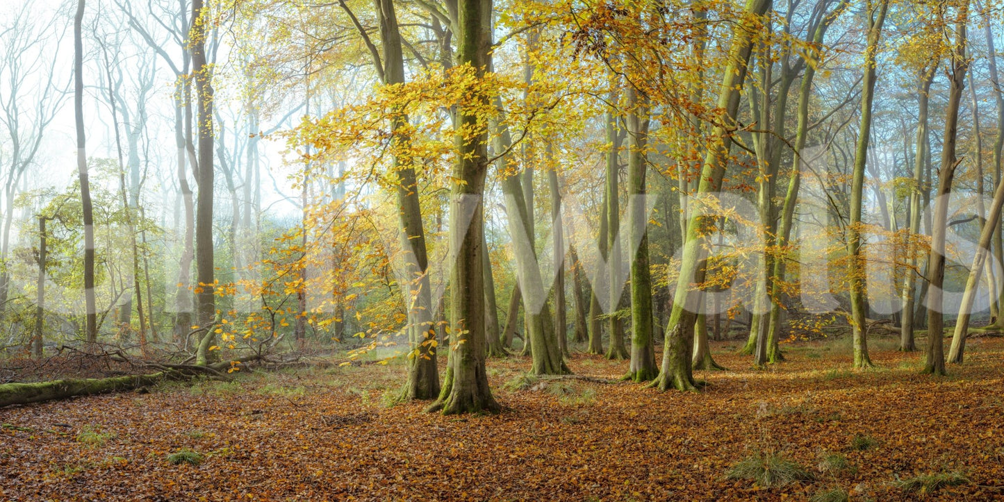 A design suitable for creating a peaceful ambiance