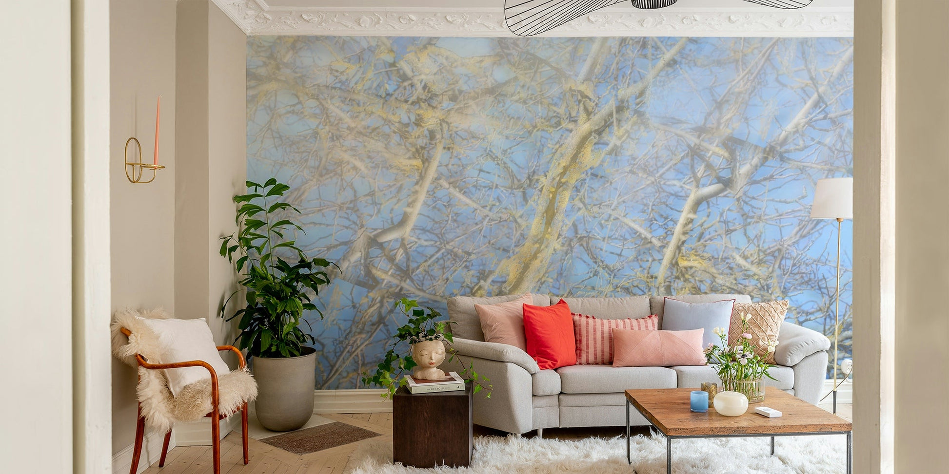 Abstract art design featuring natural elements.

