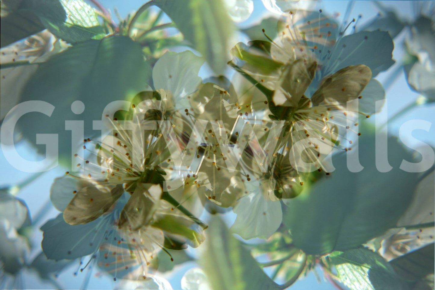 Soft floral texture wall design
