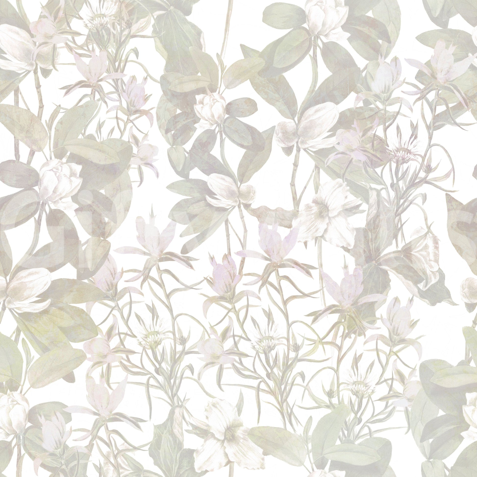 Ethereal Botany subtle wallpaper

