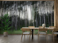 Ethereal Forest Photography Wall Mural

