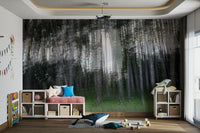 A calming natural landscape for interior decor
