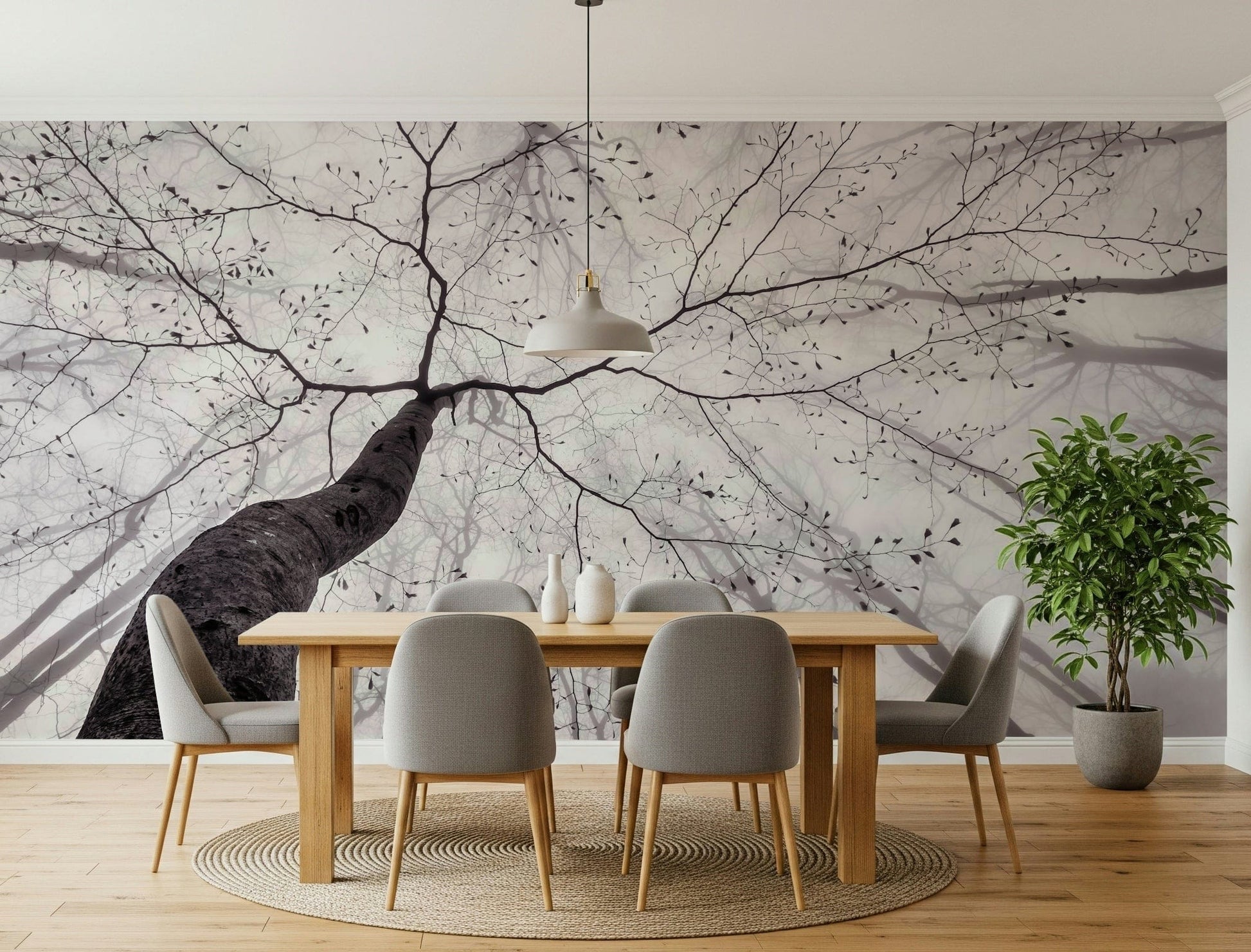 A tranquil ethereal woods wall mural for your decor.

