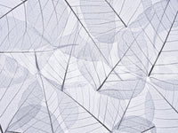 Artistic photograph of dried skeletonized leaves, stylish Skeleton Leaves wall pattern.