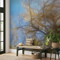 Ethereal and abstract nature art photography.

