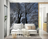 Ethereal Tree Silhouette Art | Abstract Nature Photography | Dark Sky Contrast Wall Mural