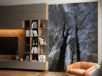 Ethereal Tree Silhouette Art | Abstract Nature Photography | Dark Sky Contrast Wall Mural