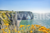 Yellow blooms along Etretat cliffs mural, gentle green color tones with sea wallpaper impression