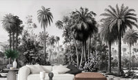 Eucalyptus Black Trees Wallpaper
