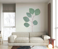 Soothing green eucalyptus leaves on mural wallpaper.

