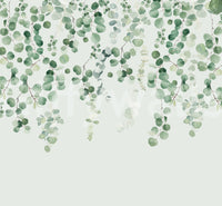Eucalyptus foliage wallpaper for walls

