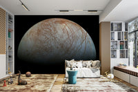 The color palette is muted, with shades of white, gray, and brown.
