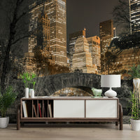 Central Park at dusk mural for a serene and scenic room vibe.

