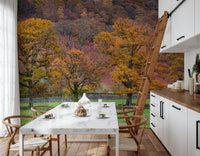 A peaceful autumn wallpaper featuring golden and orange fall trees against a colorful hillside.