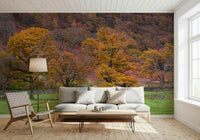 A serene autumn landscape wallpaper with golden leaves and distant forested hills.