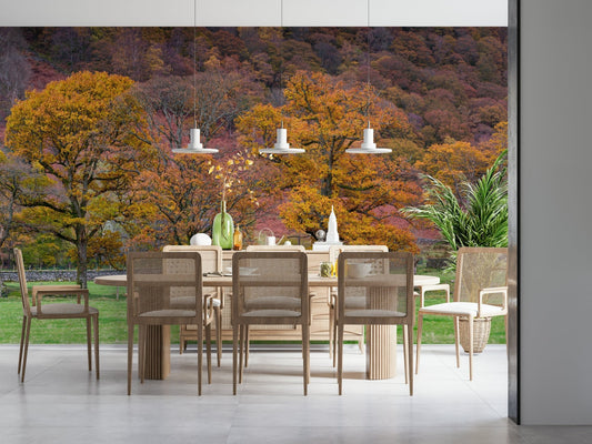 Warm fall colors cover the trees in this nature-inspired autumn wallpaper design.