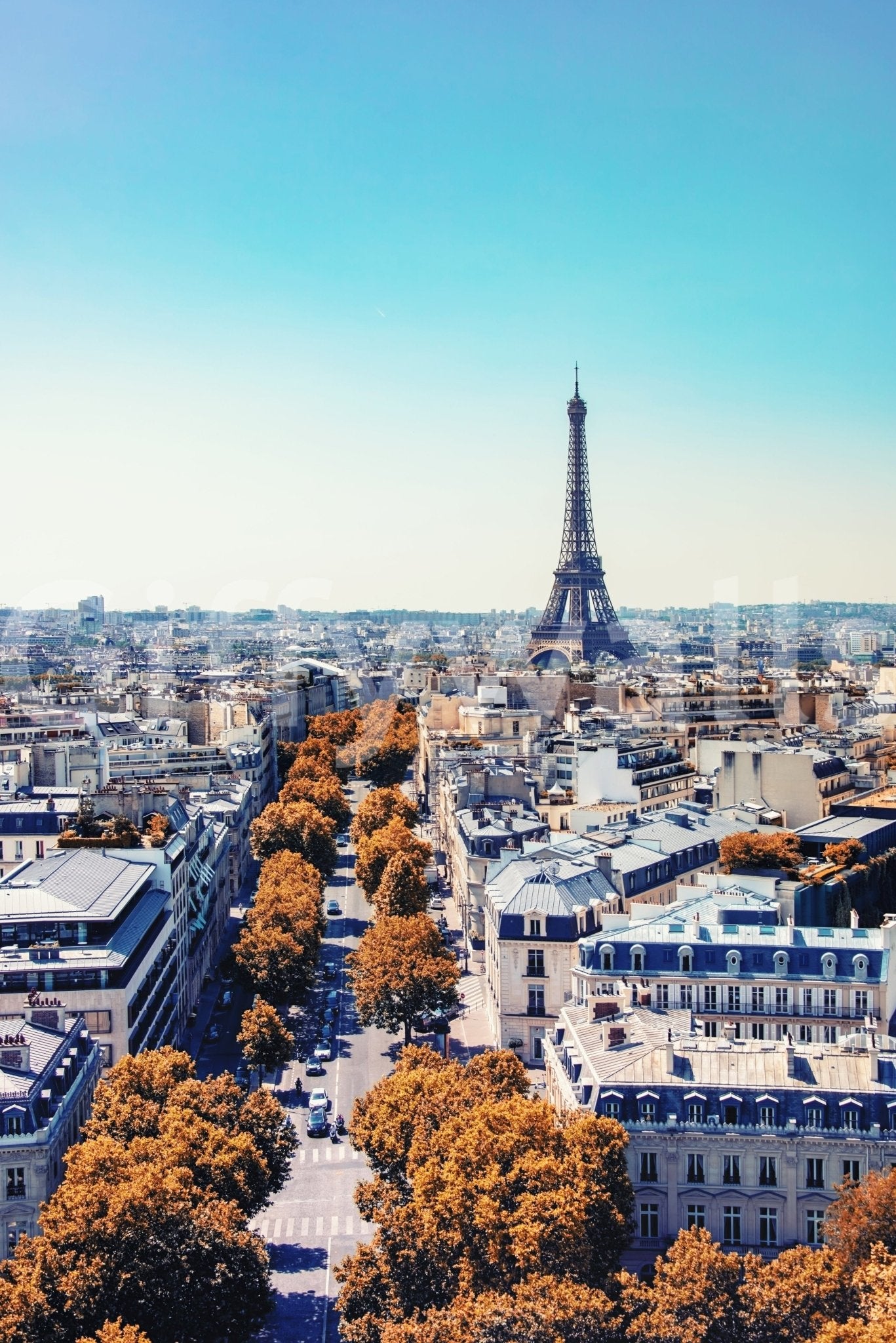 Fall in Paris wallpaper mural shown as a full-wall view of the Eiffel Tower and autumn boulevards