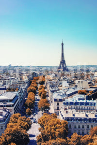Fall in Paris wallpaper mural shown as a full-wall view of the Eiffel Tower and autumn boulevards