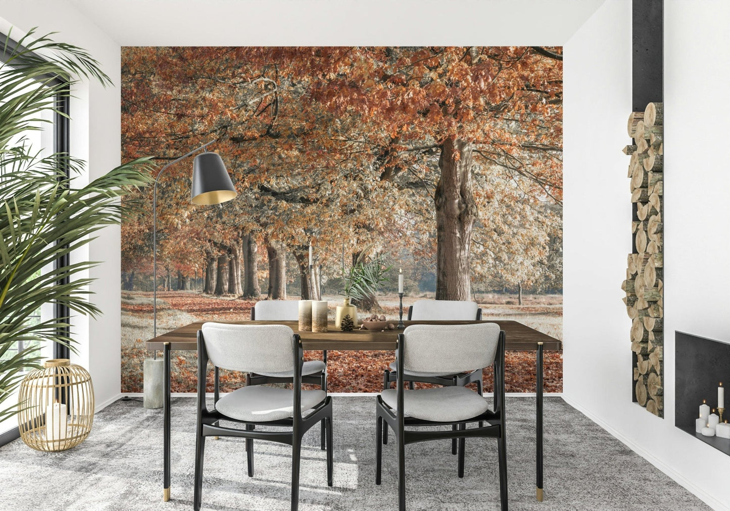 Autumn tree avenue wall mural in soft light