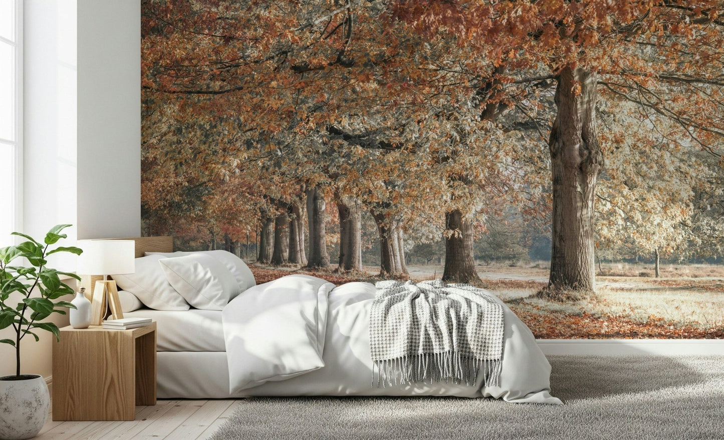 Countryside autumn wall mural in calm setting