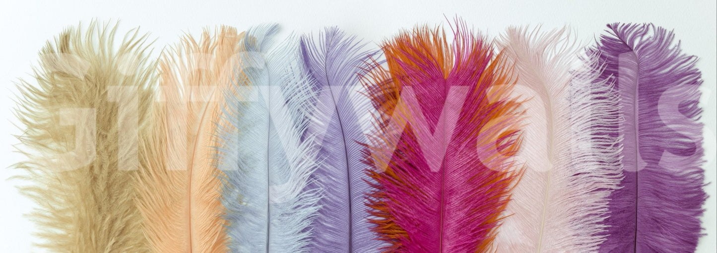 Gentle pastel feather wall mural for calm and elegant spaces

