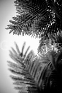 A high-quality minimalist wall mural for walls.

