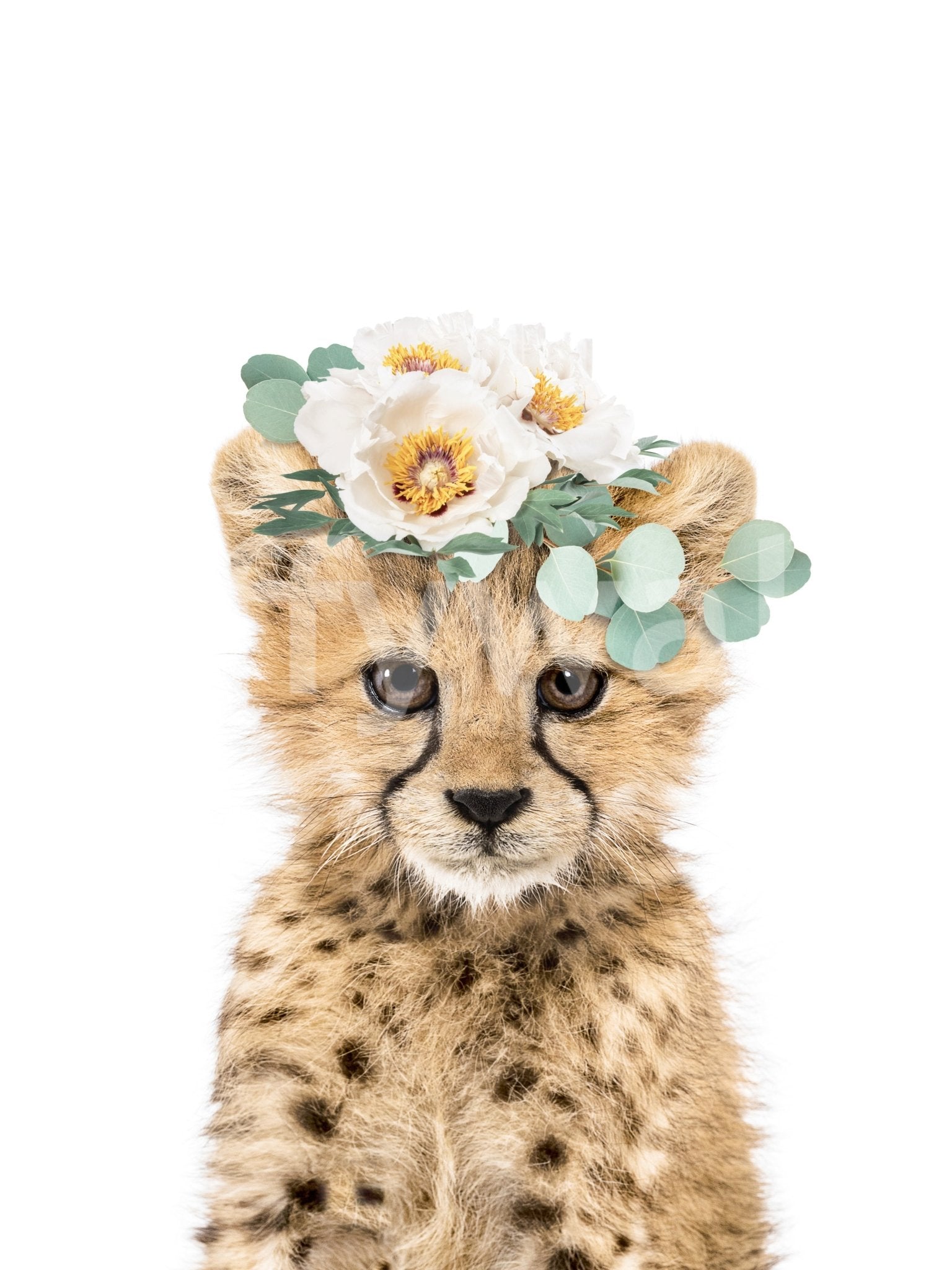 Playful cheetah cub mural surrounded by bright flowers

