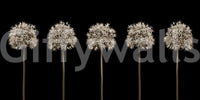 Wall decor evoking simple elegance and nature.

