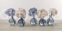 Floral Vases wallpaper mural close-up of five peonies in round blue glass vases on a pale neutral background