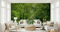 Peaceful woodland wall mural with winding road
