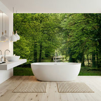 Spring foliage wall mural with shaded path