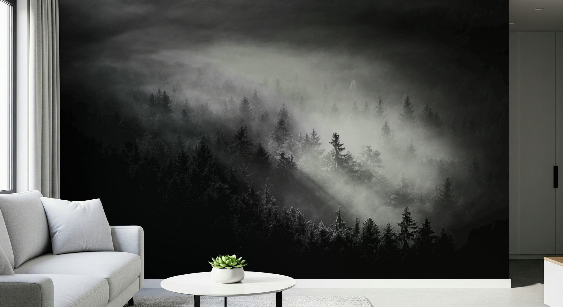 Wall mural Foggy Forest Woodland, shadowy woods, inspiring powerful ambiance.